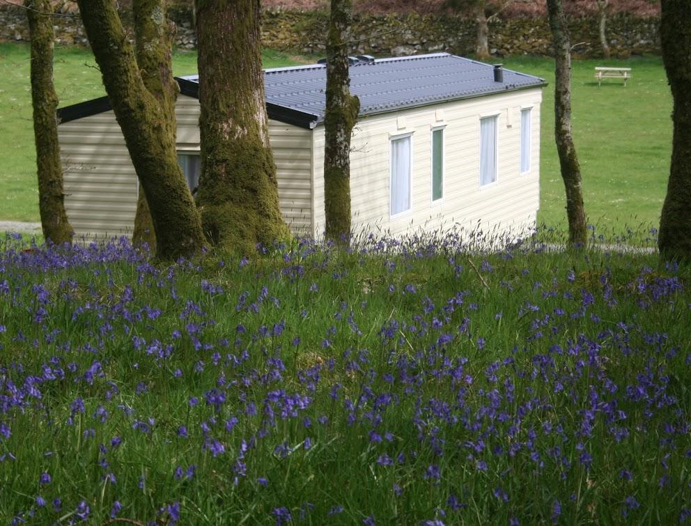 Hotel Dinas Llanbedr  Exterior foto